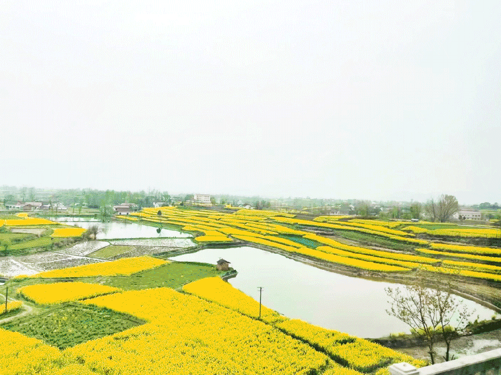 微信圖片_20210527135540.png 微信圖片_20210527135540.png